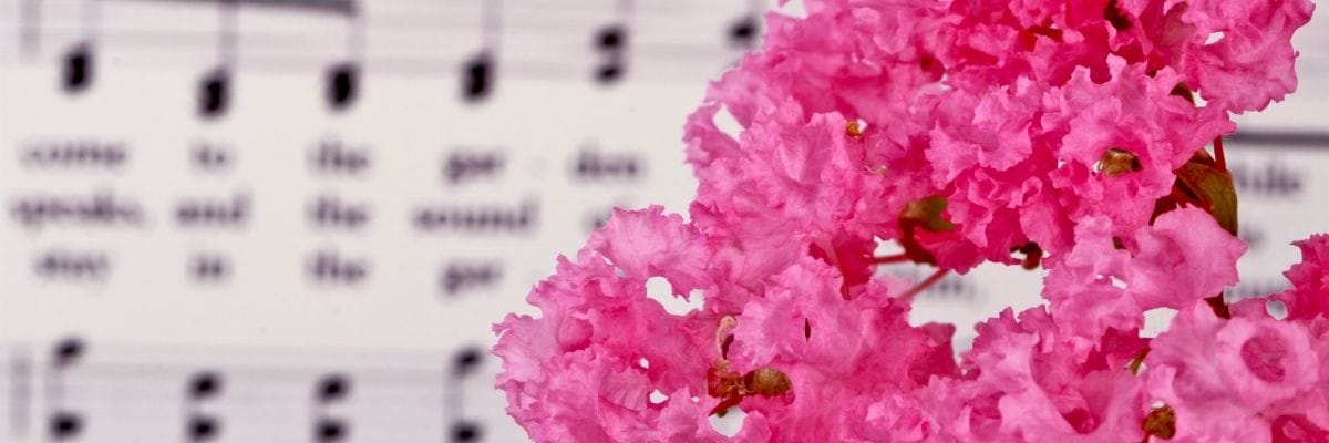 HYMN LYRICS - image Canva